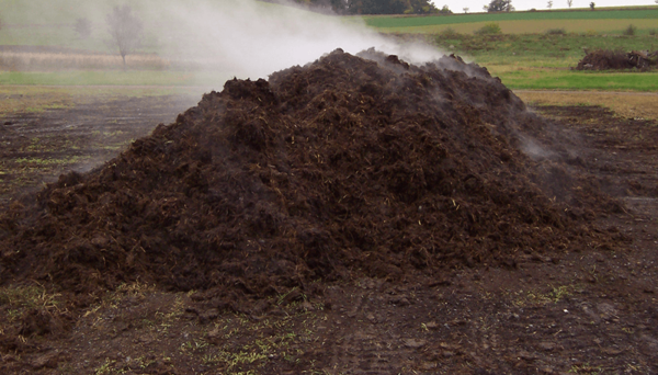 Metcalf-Pacella - Compost